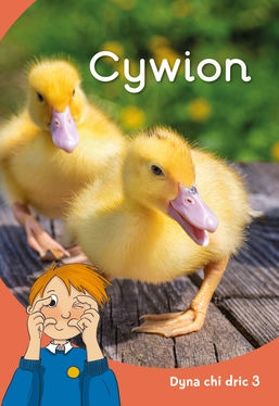 Cywion